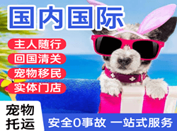 西昌青山机场快运国际宠物托运 【国